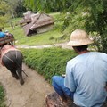 Under flera år har Phuket toppat opinionsundersökningarna som ett semesterparadis och i en senare undersökning valde läsarna av ett resemagasin Phuket före Bali och Cebu.