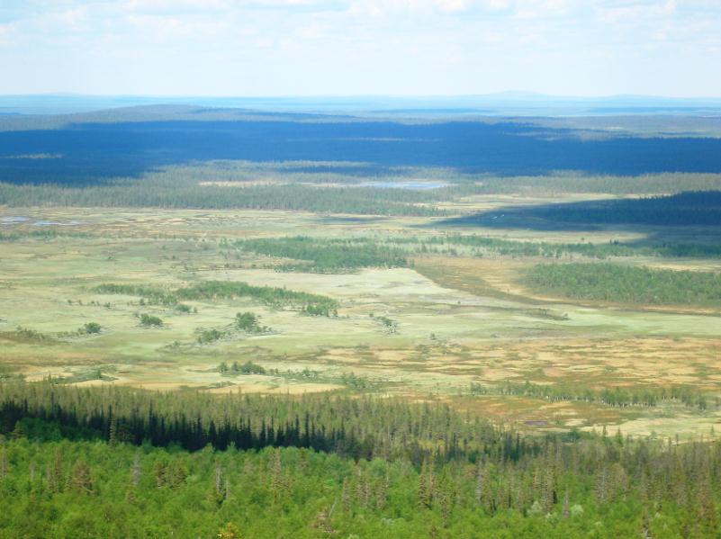 Skogsbruk i Norra Finland: Markanvändning och