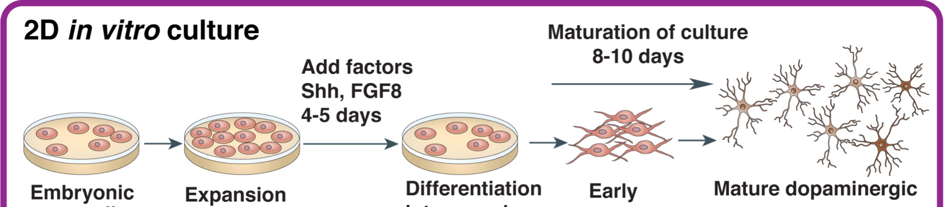 Active tumor