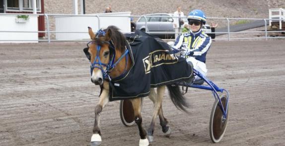 Ponnytravsäsongen är på sin sluttamp Insprängda lopp på Årjängstravet under hösten ca kl 11:00 Damklubbens lopp Idealtid kategori A