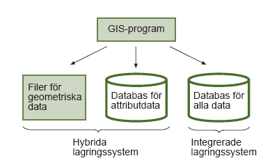 Insamling -