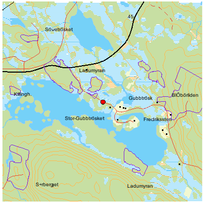 Gubbträsk Koordinater X: 7231524, Y: 1583154 Namn på Svalan: Gubbträsk Bästa tiden: Vår och försommar Vad kan man se: Vadare, sjöfågel mm Kommentar: Ett par mil norr om