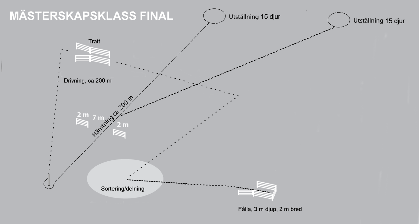 Mästerskapsklassen får Final Finalregler för Working Kelpie mästerskapen får Hämtning 20 p 1.