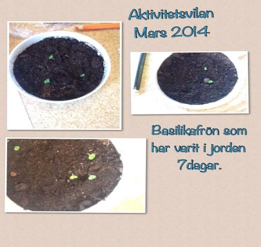 Informationsbrev förskolan Pusslet April 2014 Information och viktiga datum Solen Hej Nu är vi mitt i terminen och verksamheten rullar på.