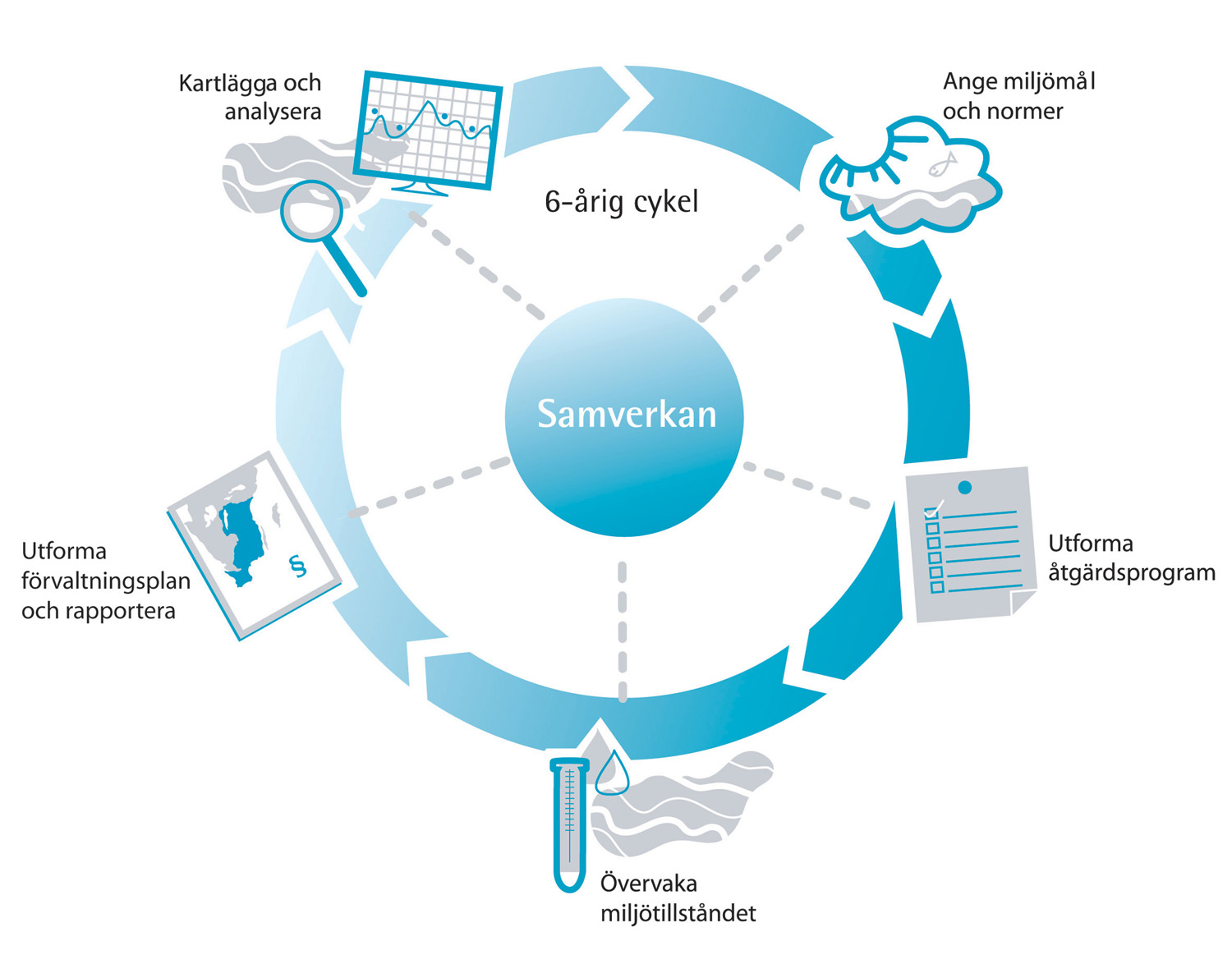 En cykel tar sex år varvid den upprepas. Den sexåriga cykeln innebär regelbundna kontroller av i vilken utsträckning miljökvalitetsnormerna har nåtts och om nya normer krävs.