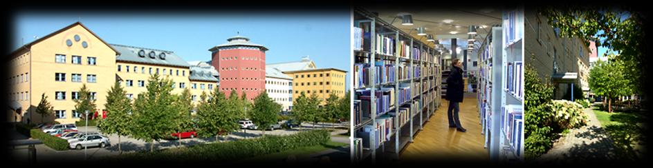 Organisation Organisationen består av totalt 6 personer (5,8 heltidstjänster) samtliga placerade på Soft Center i Ronneby.