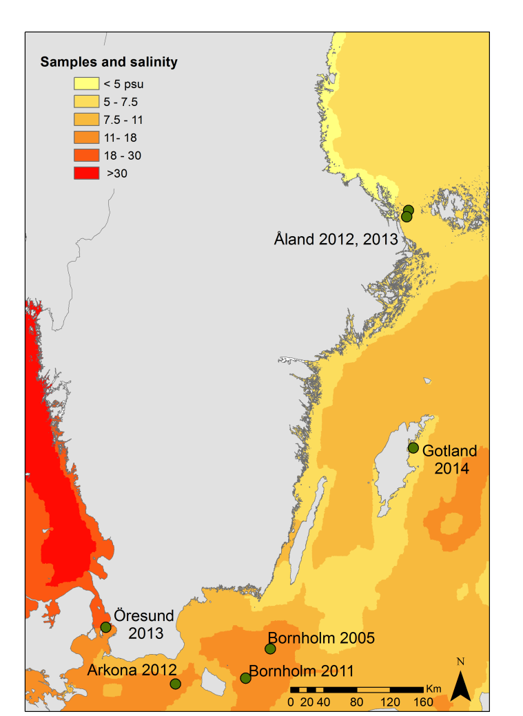 Figur 2. Provtagningsområden för genetiska analyser samt salthalt i bottenvattnet.