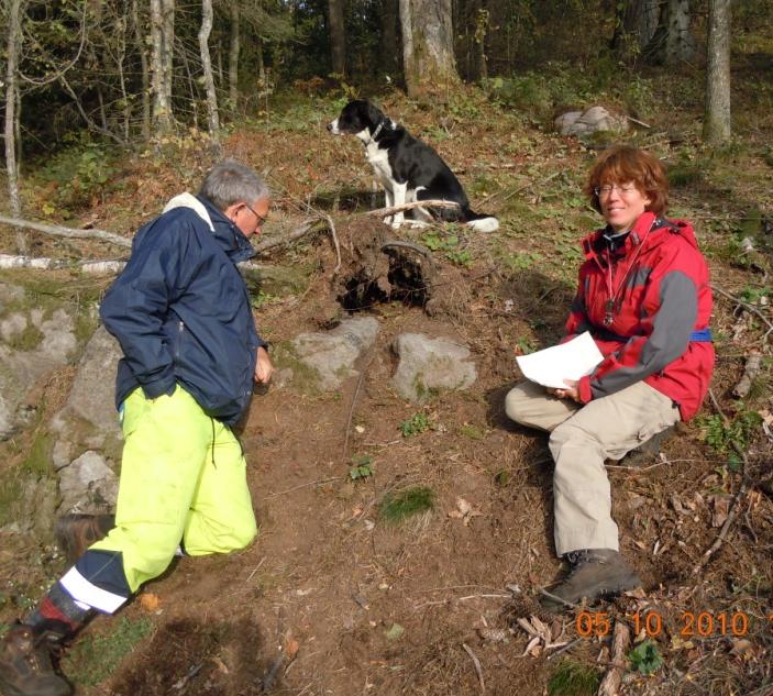 Berggrund omvandlad under extremt höga temperaturer Obbhultstäkten eklogiter >> tryck Omvandling under extremt höga temperaturer (t.o.m. ultrahöga 900 C!