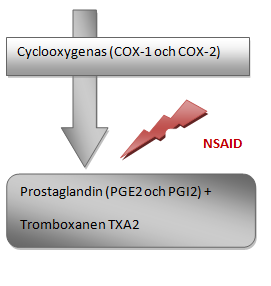 Fig2. NSAID reducerar syntesen av prostaglandiner och tromboxaner genom att hämma COX-1 och COX-2. Omarbetad från ref. [8] 1.