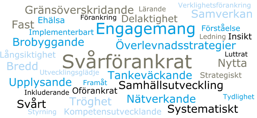 VILKA TRE ORD ELLER BEGREPP TYCKER DU BÄST BESKRIVER ARBETET MED DEN