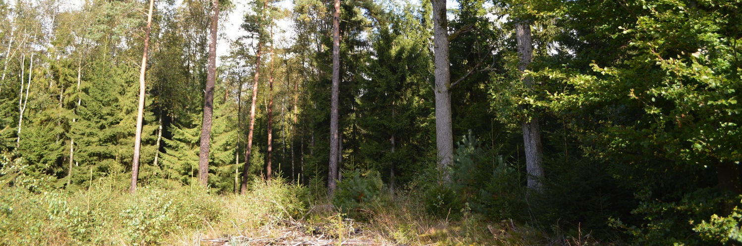 Trevlig jaktstuga med gasoluppvärmning. Jakten tillgänglig för ny ägare.