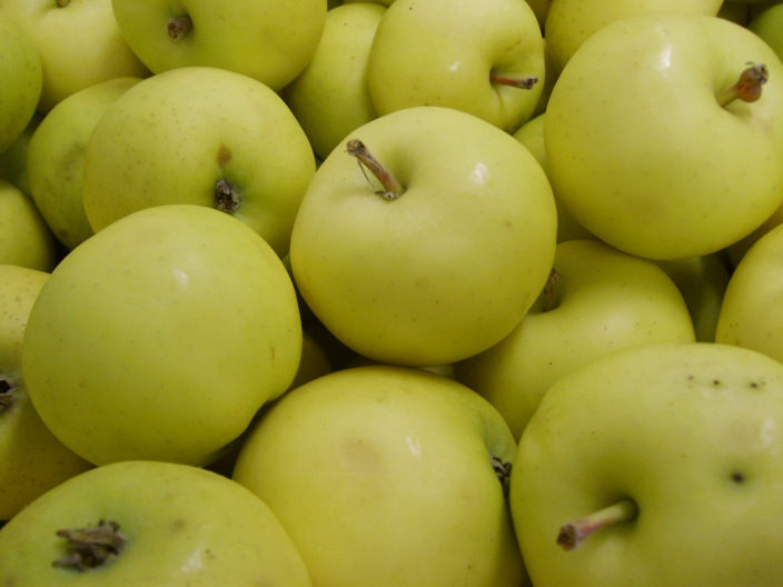 Självständigt arbete vid LTJ-fakulteten Karaktärisering av äpplesorter för framställning av juice och cider Characterization of apple