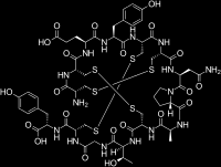 Linaklotid Peptid med 14 aminosyror Stimulerar guanylate-cyclas-c Toxin-receptor på enterocyter Ökning