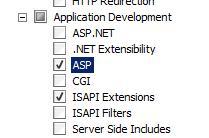 installationen, Markera förutom standardvalen för IIS även tillvalen för ASP och ISAPI under gruppen
