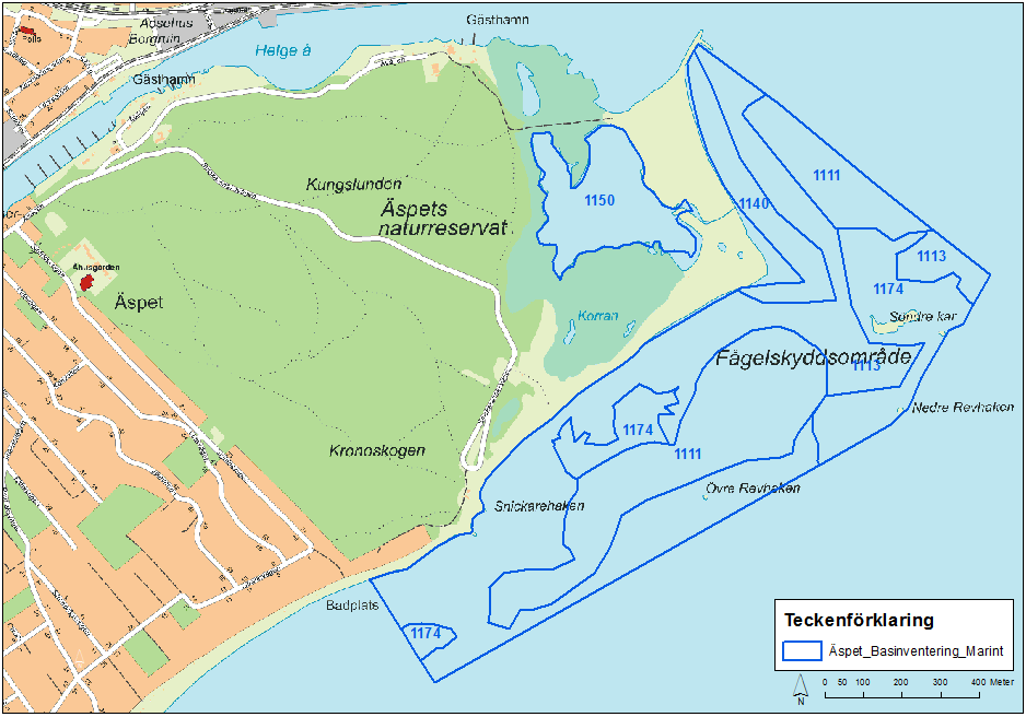 Vattendjupet har bedömts utifrån batymetriska mätningar respektive topografiska kartan. Norr om Åhus hamn ökar djupet successivt från strandkanten till 7-8 m på 2 km avstånd från kusten.