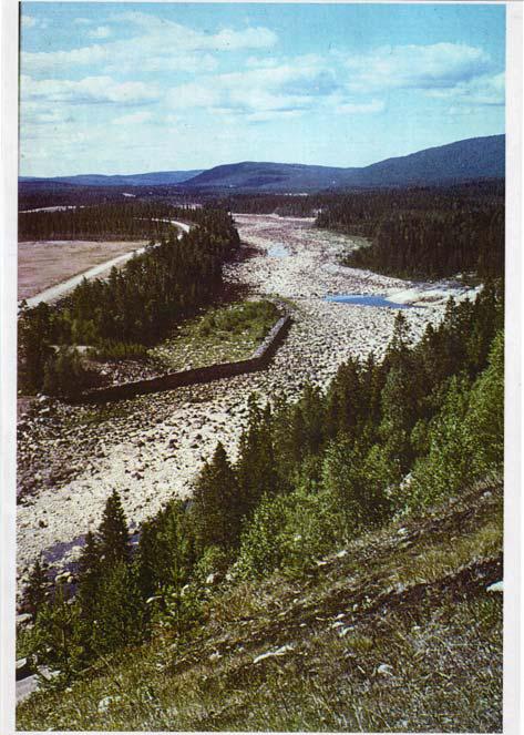 Letsi Luleälven Ekologisk potential för smolt i Letsi torrfåra 74 ha med medellågvattenföring 29 m 3 /s (MLQ) ca 17 000 smolt
