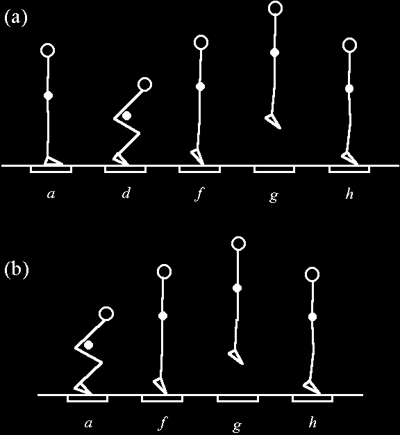 10 m och 30 m sprint, stillastående 10 m och 20 m, flygande 20 m för att värdera flera egenskaper som t.ex kontraktionssnabbhet, löpteknik och explosiv styrka.