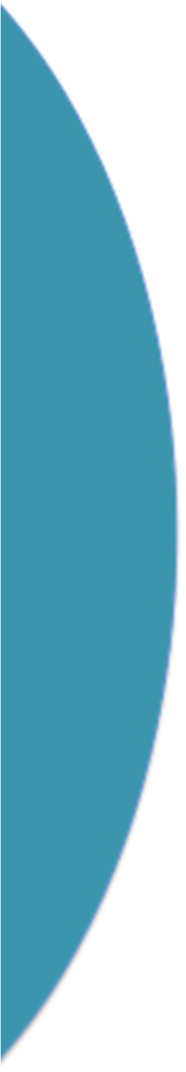NORDIC SMART SCHOOL PROJECT SYLVANA SOFKOVA HASHEMI,