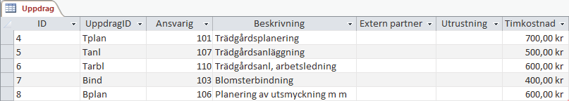 övning 6 skapa tabell och ange datatyp Fortsätt med databasen Violas. Skapa en ny tabell i databladsvy enligt nedan.