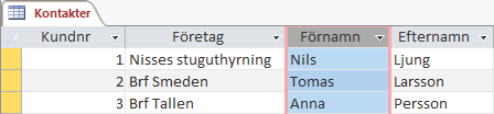 övning 3 registrera data Handelsträdgården utför olika typer av uppdrag. Varje typ av uppdrag har en ansvarig bland de anställda.