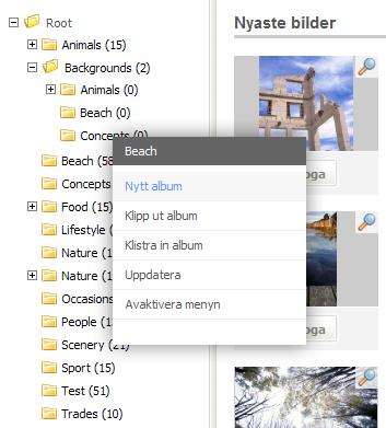 3.6.1. Nytt album Detta val skapar ett nytt album som ett underalbum till det aktuella albumet. Bilden nedan visar snabbmenyn med albumet Landscapes valt.