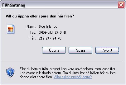 Windows filhämtning Klicka Spara för att spara filen på datorn.