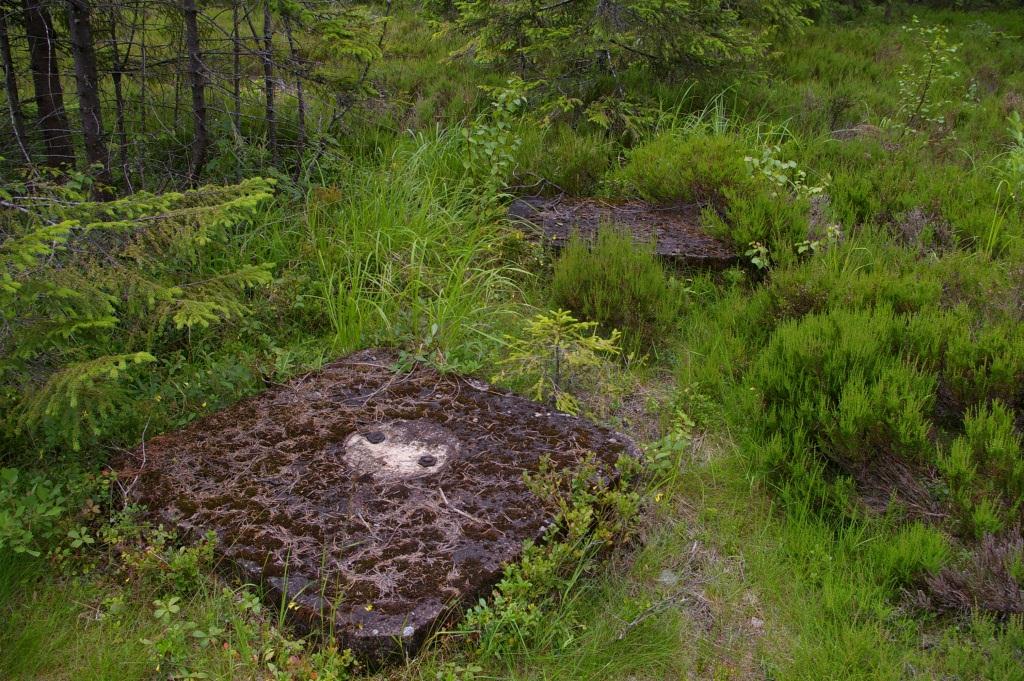 Enligt Skogsstyrelsen finns inga nyckelbiotoper inom etableringsområdet eller där väg och kabel planeras anläggas. Inom etableringsområdet finns 3 fundament från ett äldre nedplockat brandtorn.