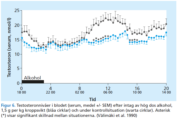 Alkoholkonsumtion försämrar därmed kraftigt förutsättningarna för muskeluppbyggnad.