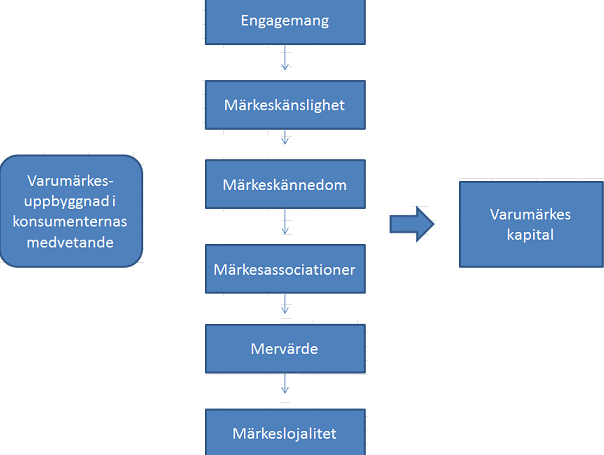 När konsumenterna väljer märkesgrupp påverkas de av själva köpprocessen samt individuella bedömningar som påverkas av bland annat demografiska, kulturella och socioekonomiska egenskaper.