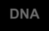 Samverkansprojekt med stöd av Märk-DNA Kostnader DNA-kit till boende Tryckning - Informationsblad/flyers