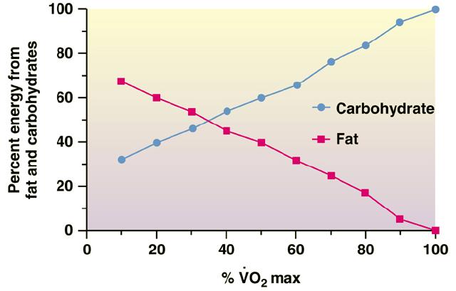 Procent energi från fett & kolhydrater 2015-11-18 Energibehov Under vila använder muskulaturen huvudsakligen fett som bränsle Våra energikällor Vid olika intensitet Vid maximalt arbete används enbart