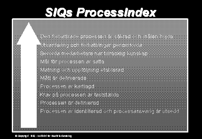 Typisk arbetsgång vid processarbete Förbereda (Arbetsmöten i ledningen) Utbilda (Processteam) Utveckla (Processteam) Motiv Kundbegrepp Processtruktur