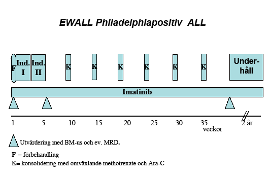 Behandling av Ph+ patienter ca 60-75 år (biologiskt) Bland patienter med pre-b-all i åldersgruppen över 60 år ses Philadelphiakromosom positivitet hos ca 30-50%[46].