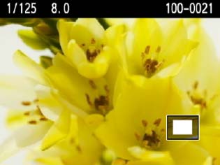 u/y Förstorad bild Du an förstora en bild 1,5 till 10 gånger på LCD-monitorn. 1 Förstora bilden. Vid bildvisning trycer du på nappen <u>. Bilden förstoras.