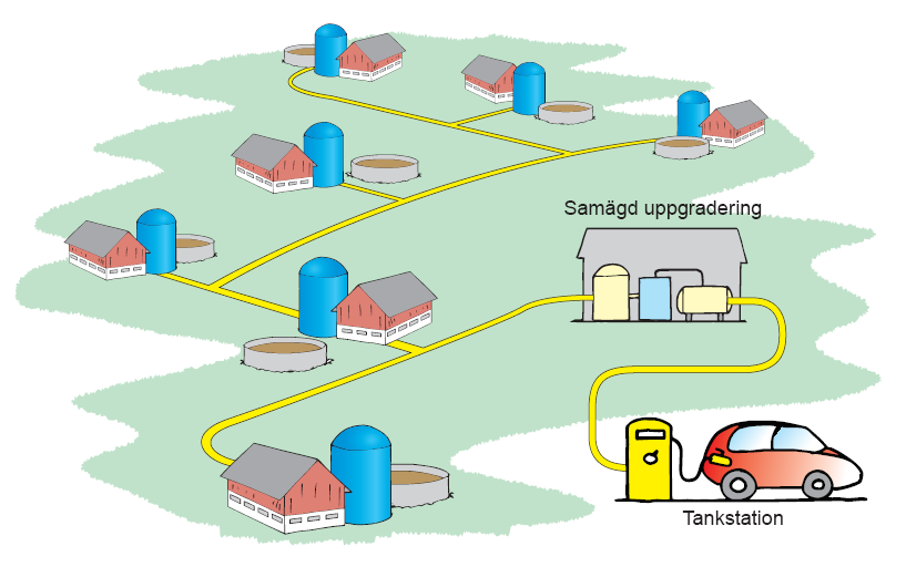 Biogasnät