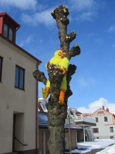 Hemsidesgruppen har idéer Gruppen som arbetar med att göra Ungdomsfullmäktiges hemsida bättre på ystad.se berättade om några idéer.