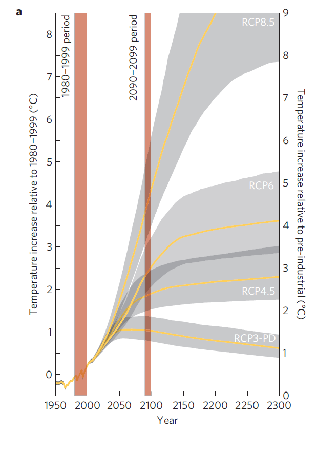 RCP 8.