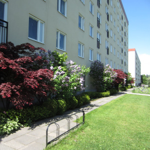 Juni 2014 Vi på