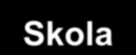 Skola 18 skolor, 7 städer 200-300 extra pass på tre år Vi vill vara bättre avseende den individuella utvecklingen än spelarens klubb, oavsett vilken klubb eller nivå