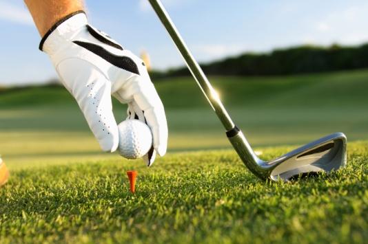 INLEDNING Tanken med materialet är att underlätta och motivera fler klubbar att komma igång med en Rotarys Golfdag som en spännande årlig aktivitet för Rotaryklubbarna.