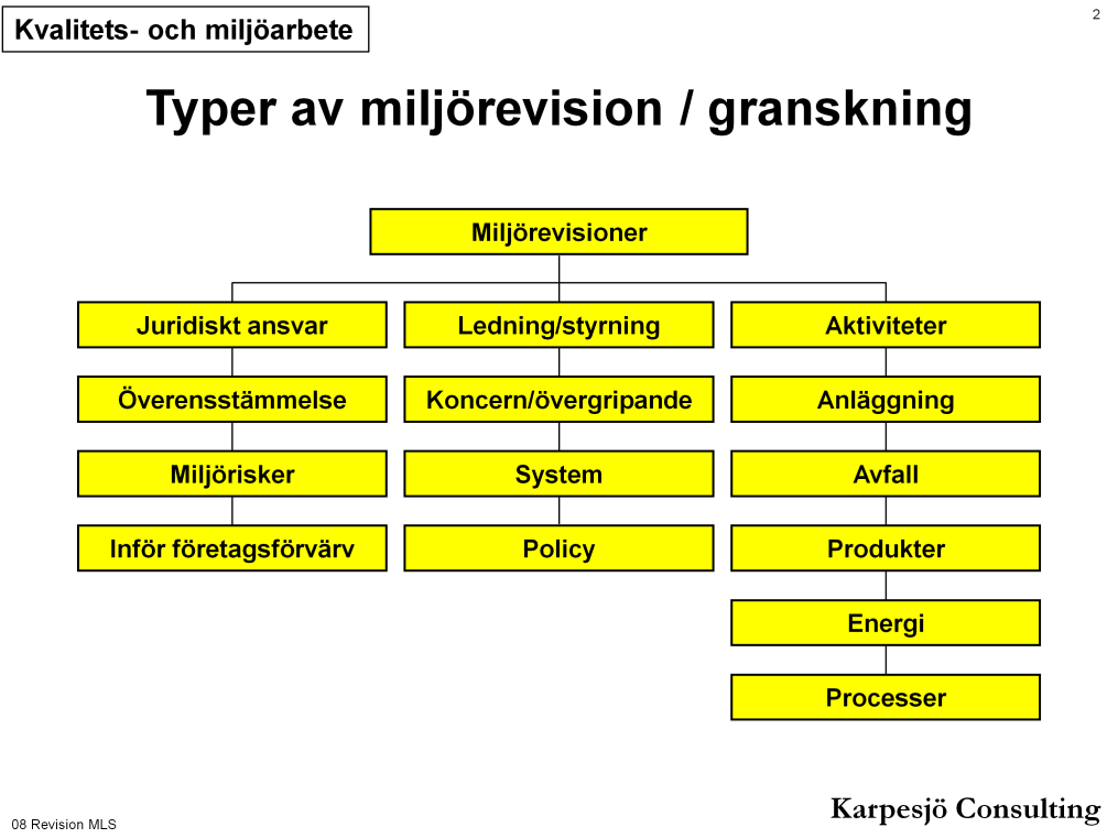 Det finns en mängd olika typer av miljörevisioner, varav några presenteras ovan. Terminologin varierar mellan olika organisationer. Många kallar miljörevision för miljögranskning.