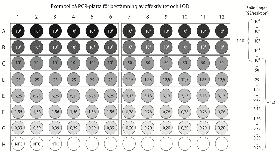 I enlighet med det befintliga valideringsprotokollet (FBD 005-1) laddades spädningarna i triplikat för fem körningar, där minst en körning utförs av en annan laborant, samt i sex replikat i en sjätte