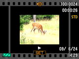 Visning av stillbilder och filmer Visning av stillbilder Vi hänvisar till sidan 26 angående tillvägagångssätt för visning av stillbilder. Visning av en film 1.