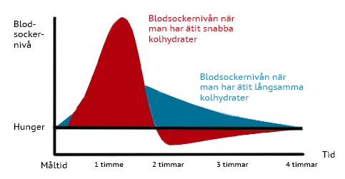 2.1.5 GI Glykemisk Index Figur 2 visar blodsockernivåerna för snabba och långsamma kolhydrater. Kolhydrater kan delas in i snabba och långsamma kolhydrater.