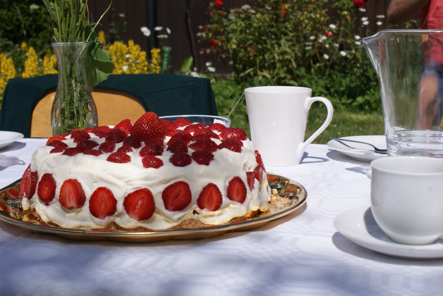 Fira midsommar med IOGT-NTO Har du ingen att fira midsommar med, så finns IOGT-NTO!