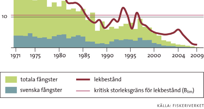 Figur 10. Den allvarliga situationen för flera fiskbestånd kvarstår och har i vissa fall förvärrats. För till exempel torsk i Kattegatt är beståndssituationen mycket kritisk.