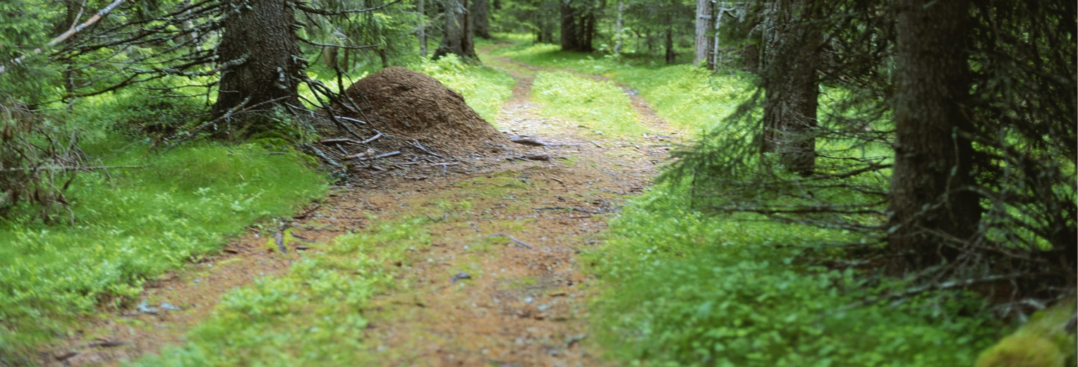 Virkesprislista Leveransvirke SCA SKOG Från den 9 juni 2014 och