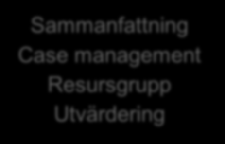 Flödesschema Integrerad Psykiatri (IP) Case manager och psykiater Sammanfattning Case management Resursgrupp Utvärdering Hembesök Arbetsalliance Lösningsfokuserad utredning Patient/närstående Plan