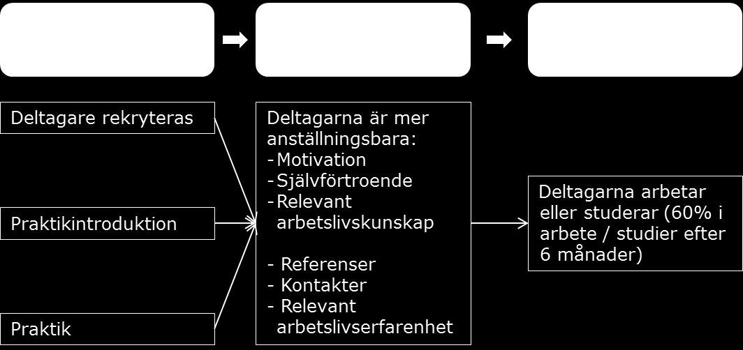 Ett sätt att beskriva en verksamhet är att illustrera den genom en förändringsteori. En förändringsteori visar hur projektets aktiviteter förväntas bidra till dess mål.