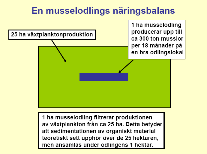 Bild: Odd Lindahl Kungl